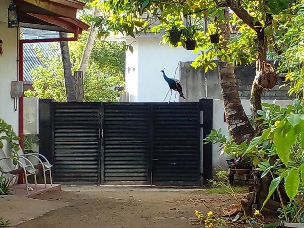 4Ty Two Homestay Galle Buitenkant foto