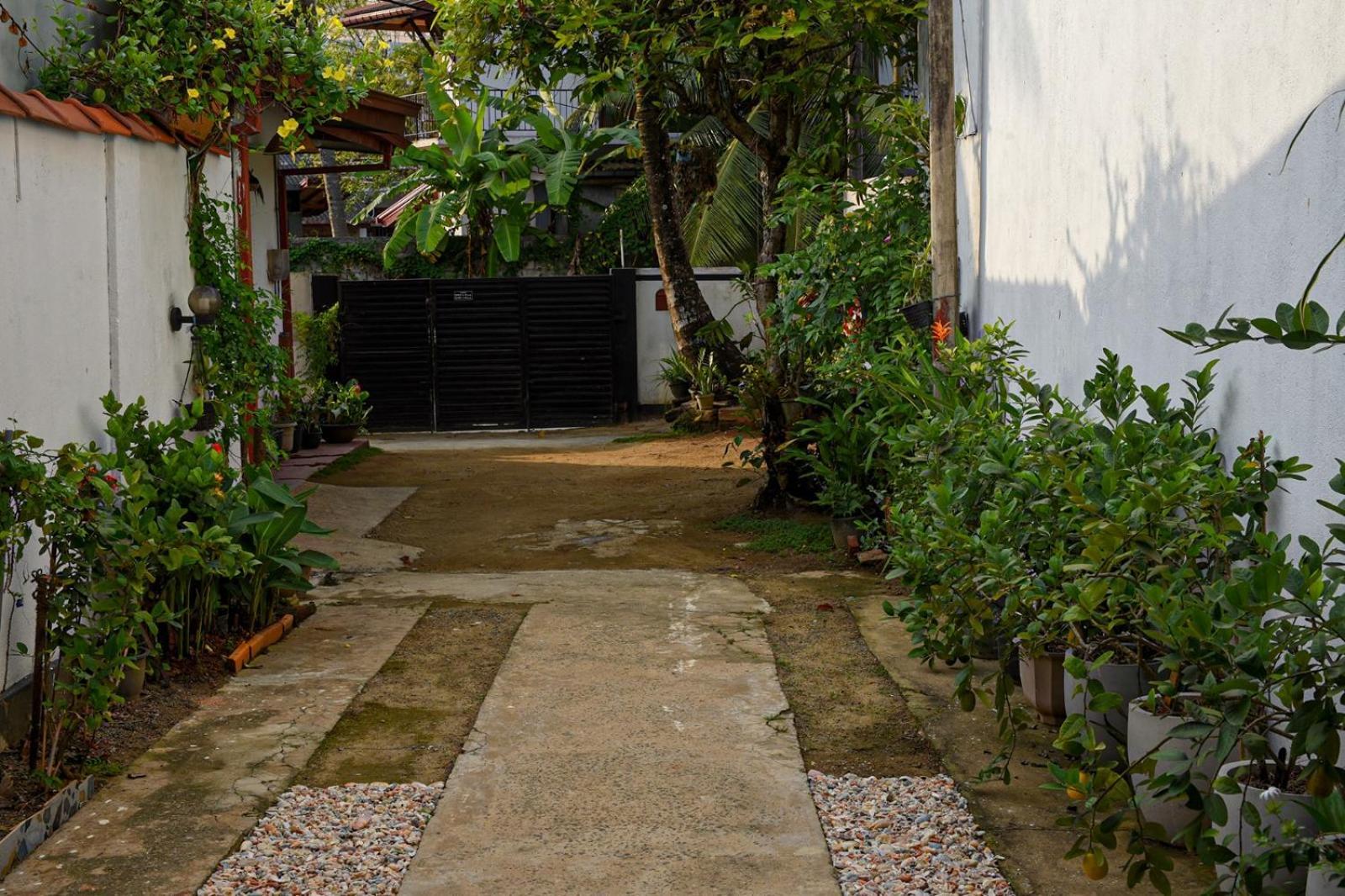 4Ty Two Homestay Galle Buitenkant foto